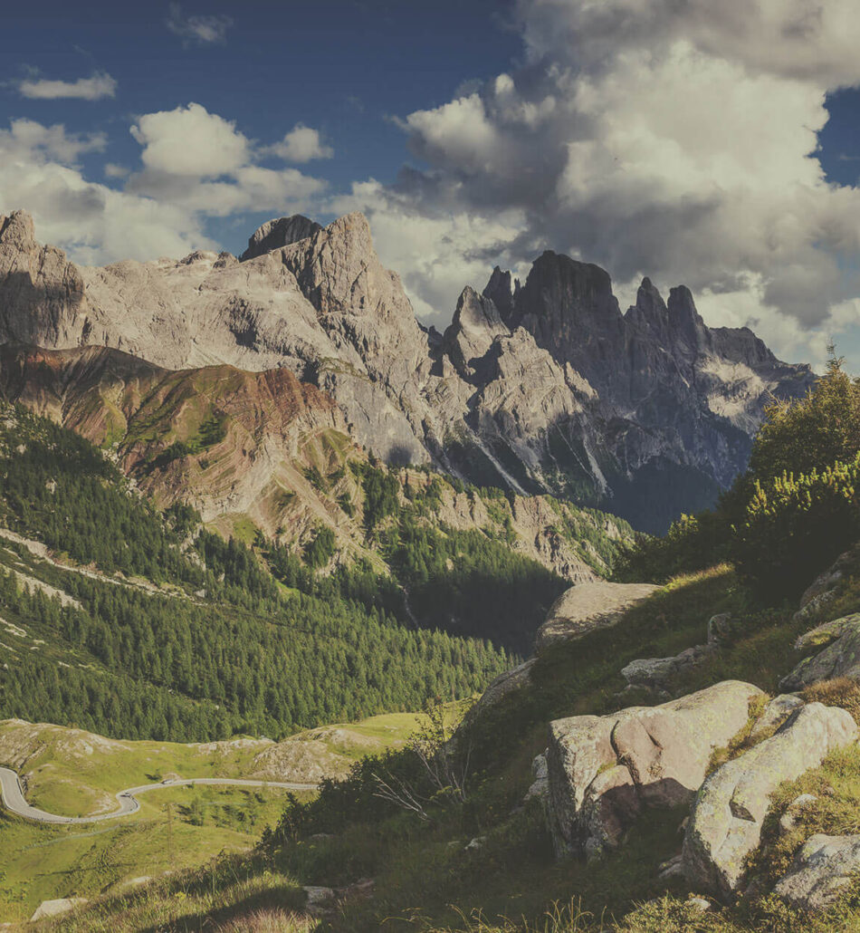 Small thumbs full width